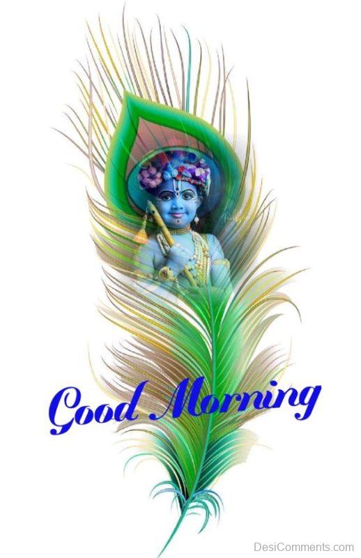 Beautiful Sri Krishna Good Morning Photo