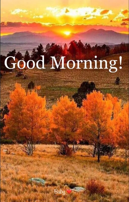 Beautiful Sunrise Good Morning Autumn Status