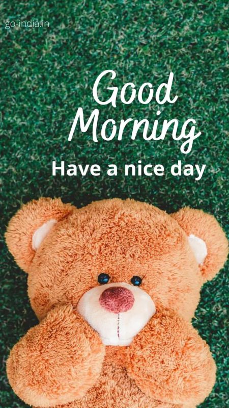 Brown Teddy Good Morning Image