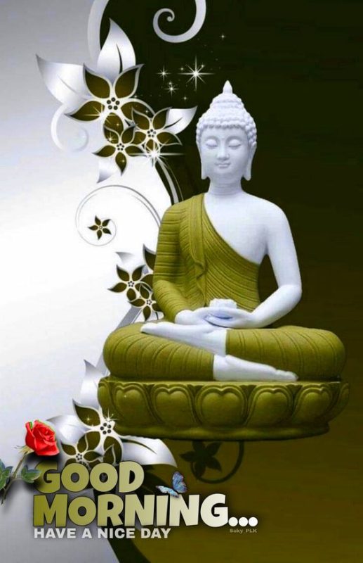 Buddha Good Morning Have A Nice Day