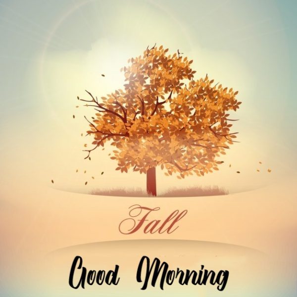 Fall Good Morning Autumn Photo