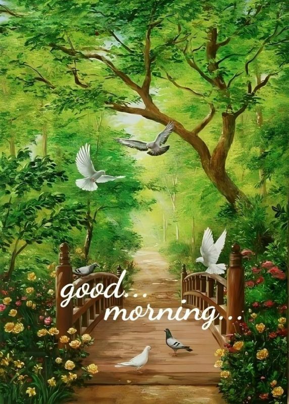 Fantastic Good Morning Birds Image