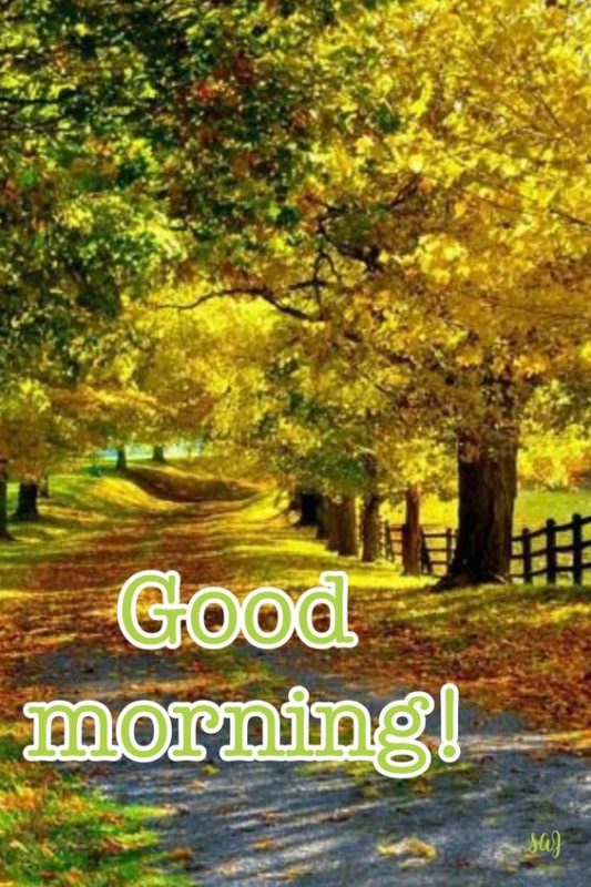 Good Morning Autumn Have A Nice Day Pic