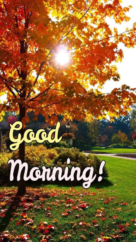 Good Morning Autumn Have An Awesome Day Status