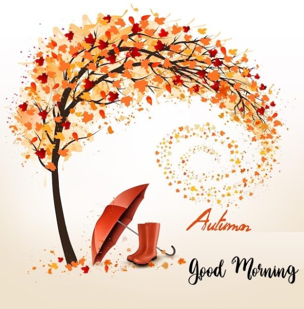 30+ Good Morning Autumn Images
