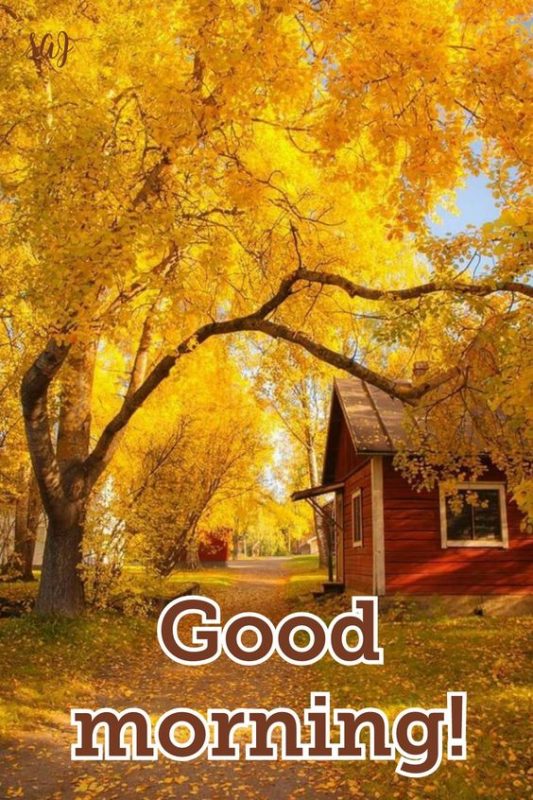 Good Morning Awesome Autumn Photo