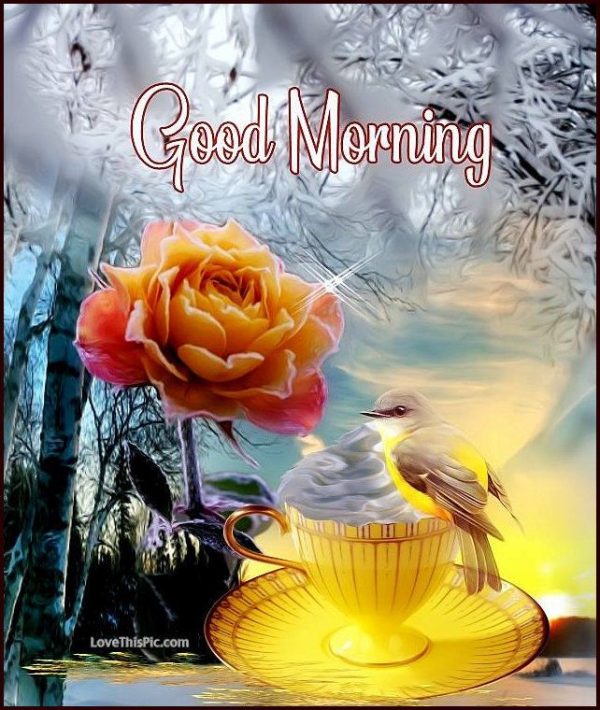 Good Morning Beautiful Birds Image