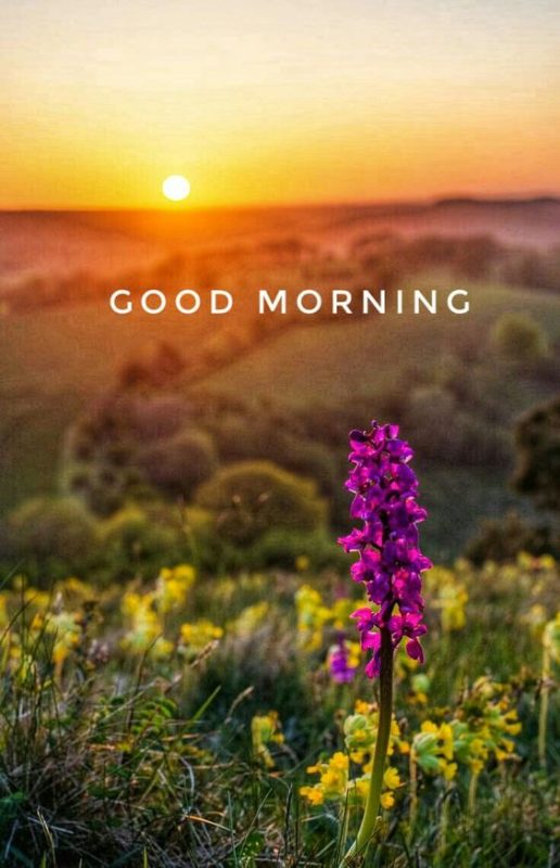 Good Morning Beautiful Sunrise Image