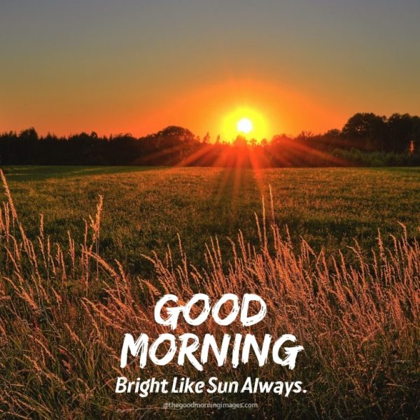Good Morning Bright Like Sun Always Image