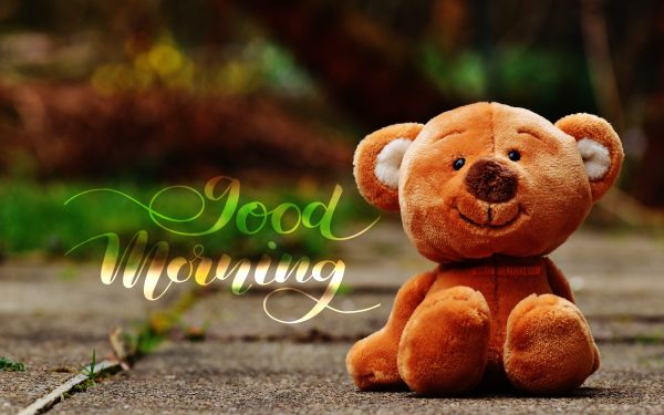 Good Morning Brown Teddy Bear Image