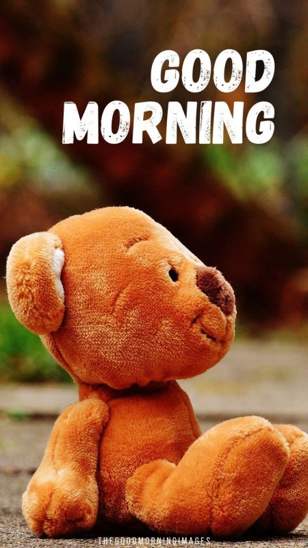 Good Morning Brown Teddy Image