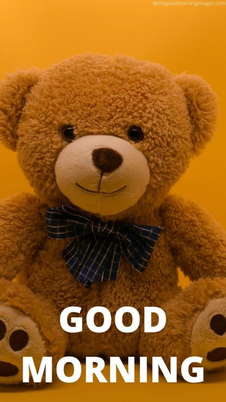 Good Morning Cute Brown Teddy Image