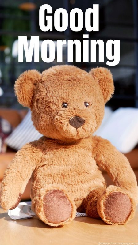 Good Morning Dear Teddy Image