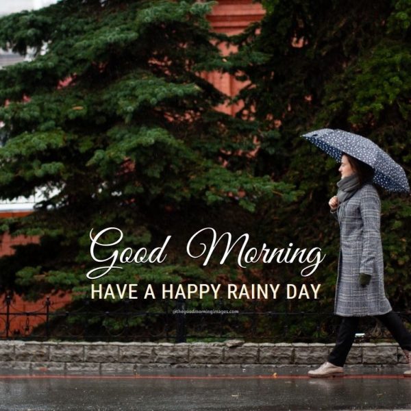 Good Morning Have A Happy Rain Day Photo