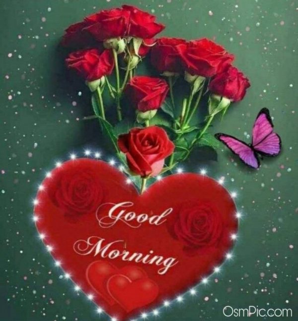Good Morning Have A Nice Day With Beautiful Roses Image