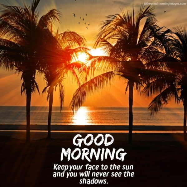 Good Morning Keep Your Face To The Sun Image