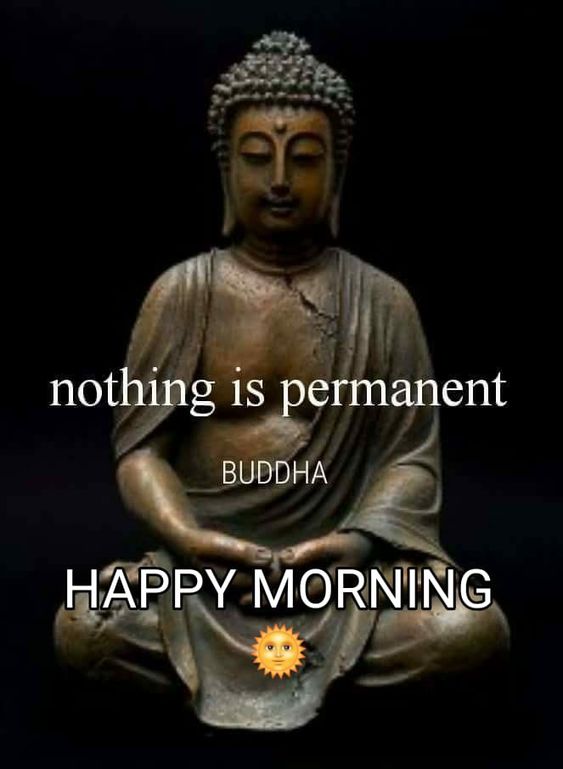 35+ Good Morning Lord Buddha Images - Desi Comments