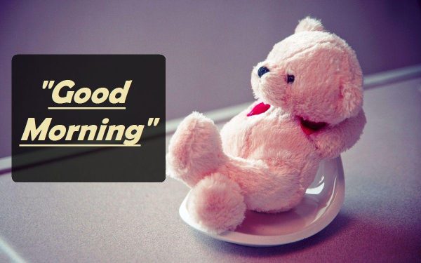 Good Morning Pink Teddy Image