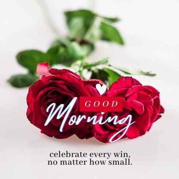 Good Morning Red Rose Flower Image