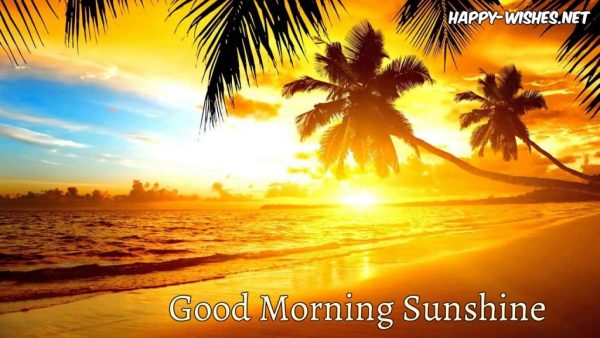 Good Morning Sun Shine Image