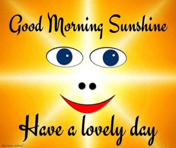 Good Morning Sunshine Have A Lovely Day Image