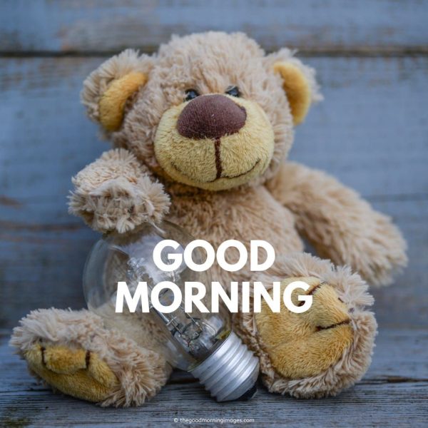 Good Morning Teddy Image