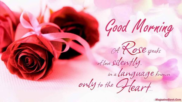 Good Morning With Romantic Rose Speaks Image