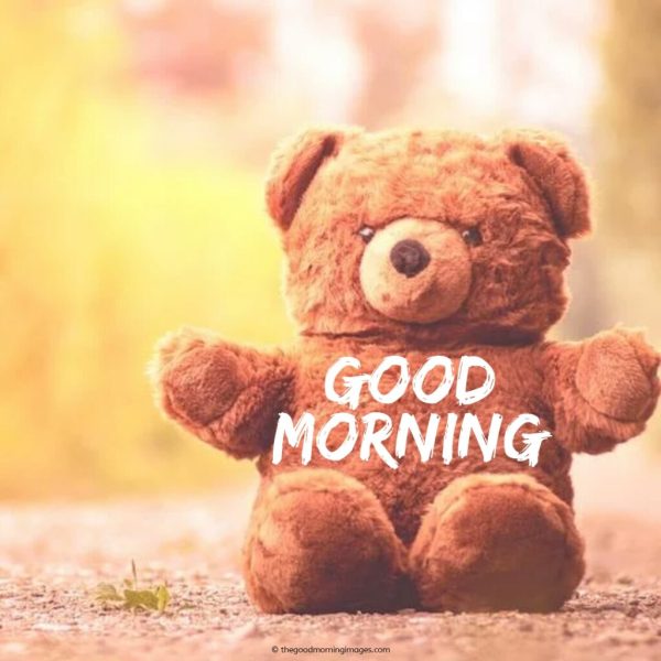 Good Morning With Teddy Bear Image
