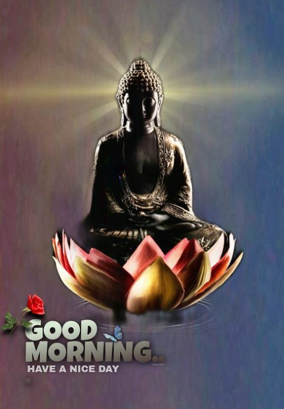 Lord Budda Good Morning Have A Nice Day