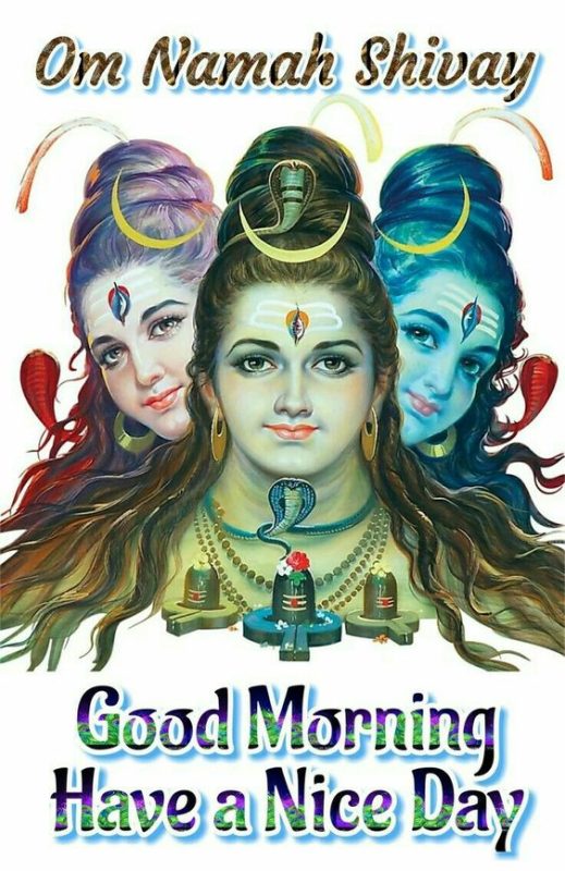 Om Namah Shivay Good Morning Have A Nice Day