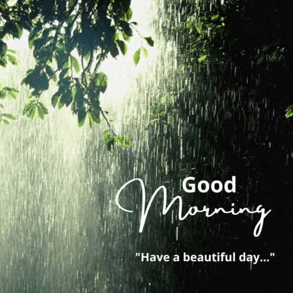 Rainy Day Good Morning Have A Beautiful Day Images