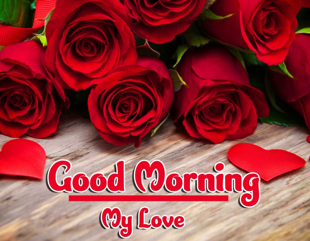 35+ Good Morning Red Rose Images - Desi Comments