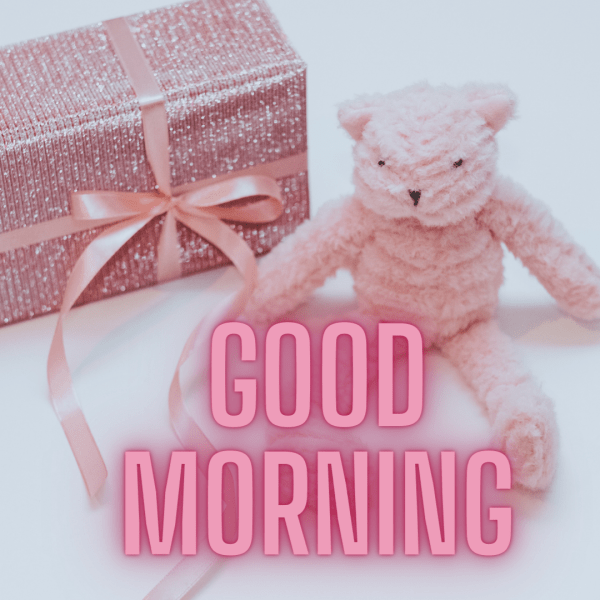 Teddy Good Morning Image