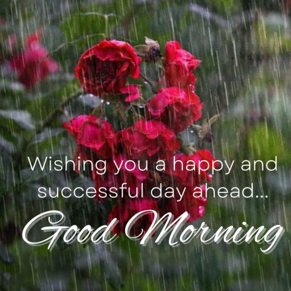 Wishing You A Happy And Sucessful Day And A Very Good Morning Image