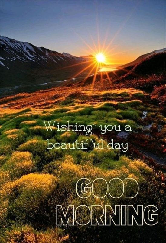 Wishing You Beautiful Day Good Morning
