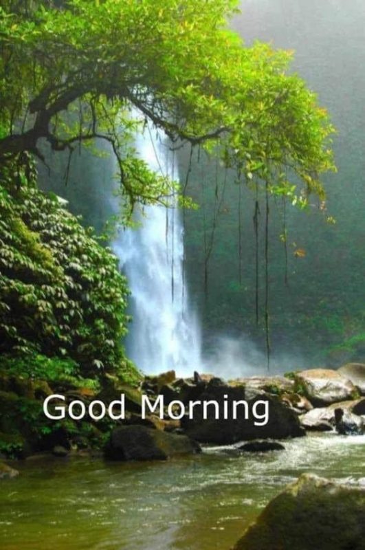 Beautiful Good Morning Waterfall Image