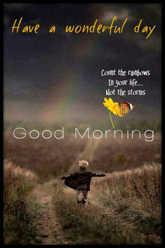 Cont The Rainbows In Your Life Not The Storms Good Morning