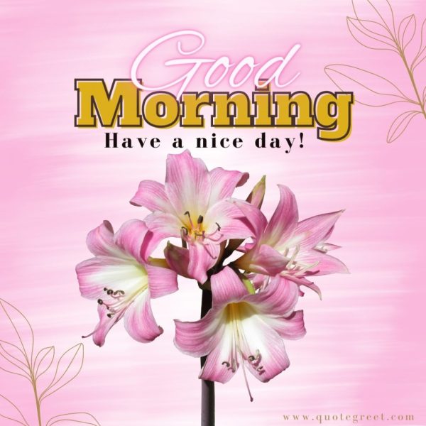 Good Morning Have A Nice Day Lily