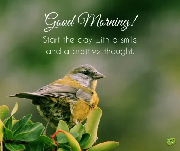 Start A Day With A Simle And Positive Thought Good Morning