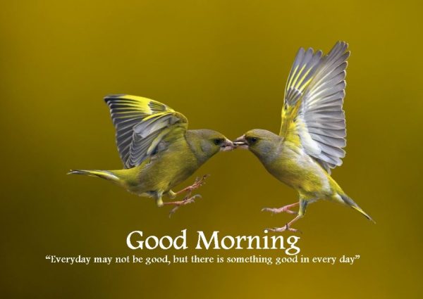 These Words Of Wisdom Will Inspire You To Fly Away Good Morning