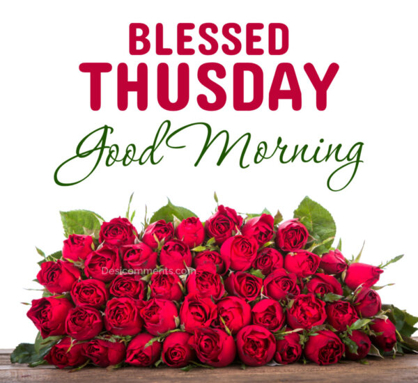 Blessed Thursday Good Morning