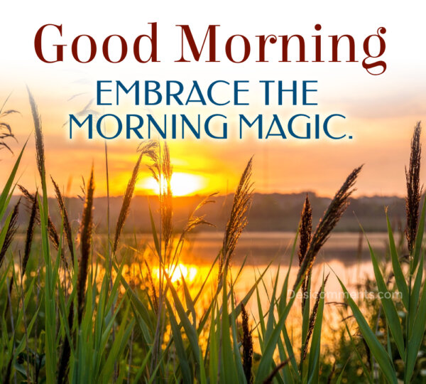 Good Morning Wishes; Embrace The Magic Good Morning