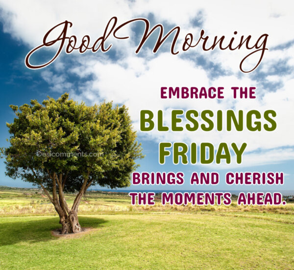 Good Morning Embrace The Blessings Friday