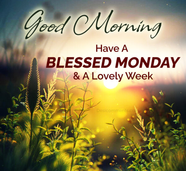 Good Morning Have A Blessed Monday