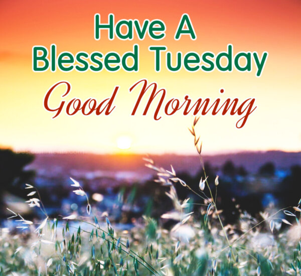 Good Morning Have A Blessed Tuesday