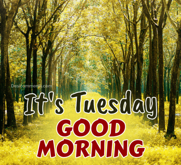 Good Morning ItS Tuesday