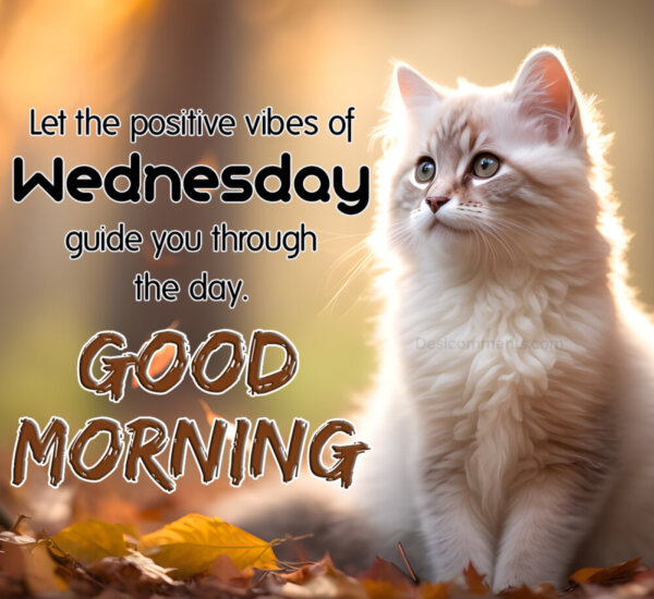 Good Morning Let The Positive Vibes Of Wednesday