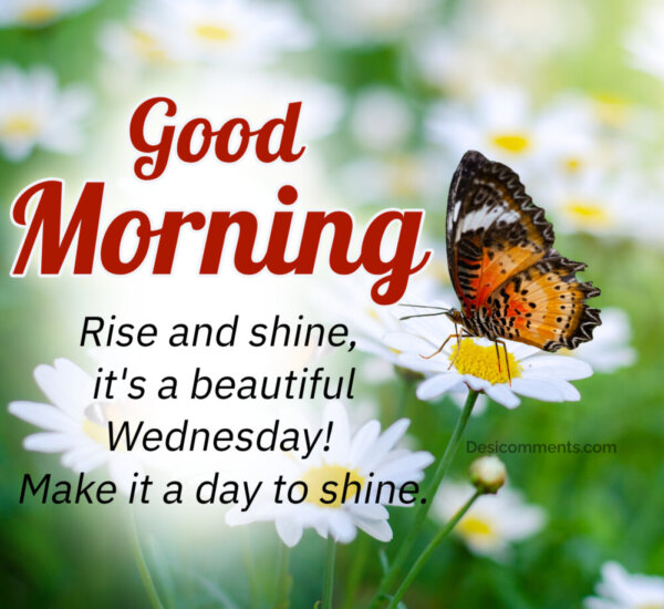 Good Morning Make It A Day To Shine