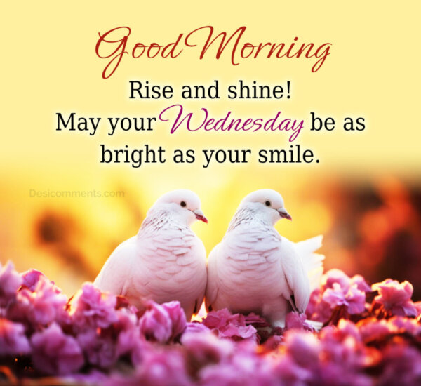 Good Morning Rise And Shine