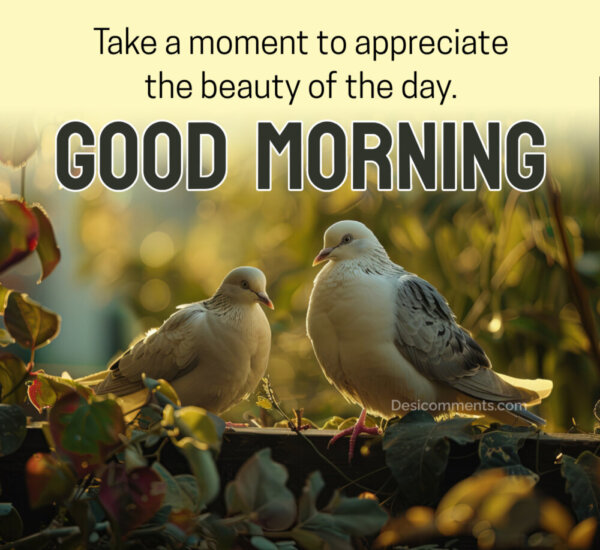 Good Morning Take A Moment The Beauty Of Day
